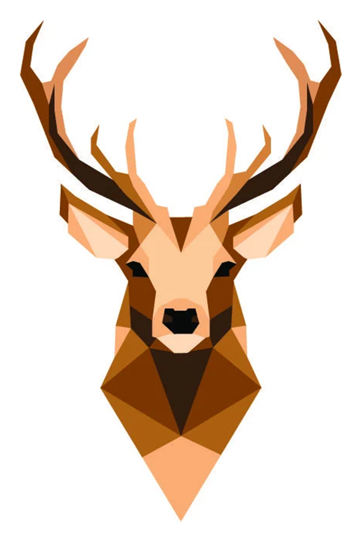 cool things to draw deer stag how to draw a deer