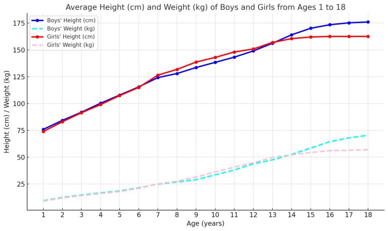 What is the Average Height for a 14 Year Old Boy and Girl? (Age 1-10, 11, 12, 13, 14, 15 Height and Weight)