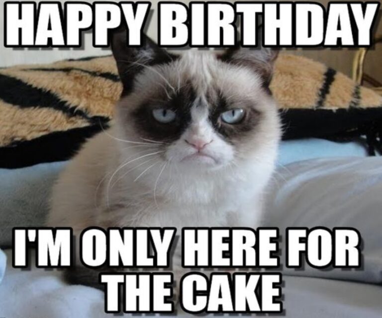 funny happy birthday meme grumpy cat